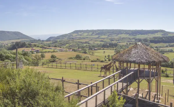 Parc animalier d'Auvergne - Lieu de loisirs à Ardes