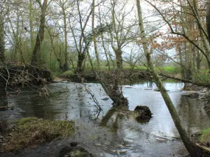 Boësse - Gué sur l'Argenton