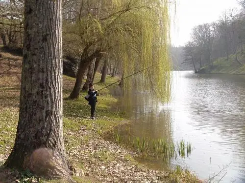 Argentonnay - Führer für Tourismus, Urlaub & Wochenende in den Deux-Sèvres