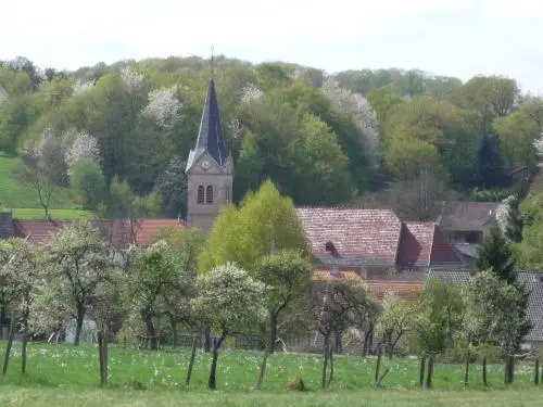 Arzviller - Tourism, holidays & weekends guide in the Moselle