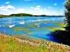 Lake de Michelbach, view from the upstream dike (© JE)