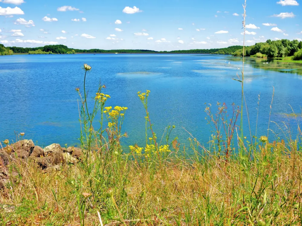 Aspach-Michelbach - The lake seen from the upstream dyke (© JE)