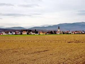 Aspach-le-Haut, vista desde la carretera a Aspach-le-Bas (© JE)