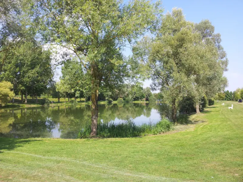 Naturschutzgebiet von Marais d'Athis - Naturstätte in Athis