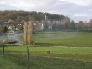 Vista del villaggio arrivando da Mazerolles-le-Salin