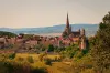 Vista de Autun (© Jean-Marc Schwartz)