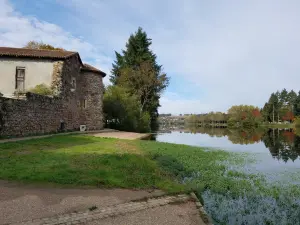 La rivière Vienne