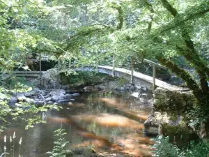 El Puente de los guardias en el primo Valley