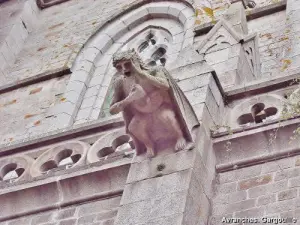 Gargoyle van de kerk (© J.E)