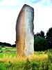 Menhir di pietra lungo (© J.E)