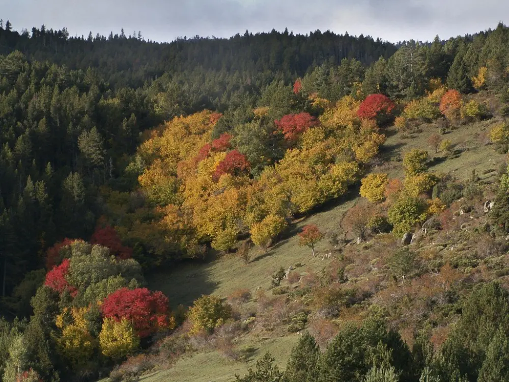 Ayguatébia-Talau - Les Garrotxes in de herfst