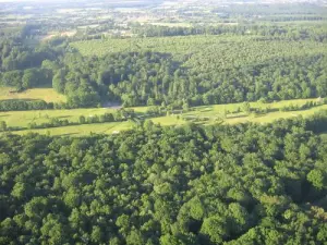 Bagnoles-de-l'Orne Campo