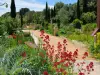 Garden Antique Méditerranéen - Leisure centre in Balaruc-les-Bains