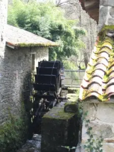 Moulin de la Ribiere