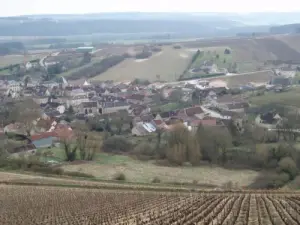 Vue sur Balnot-sur-Laignes