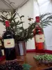 Bandol - Vins de Bandol