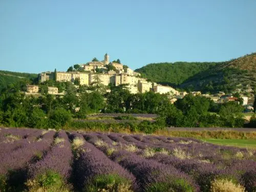 Banon - Guida turismo, vacanze e weekend nelle Alpi dell'Alta Provenza