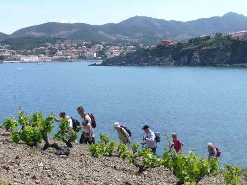 Banyuls-sur-Mer - Randonnée littoral à Banyuls-sur-Mer
