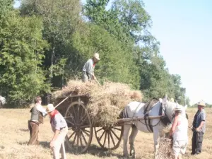 Thresher and Crafts Festival: transporting the harvest