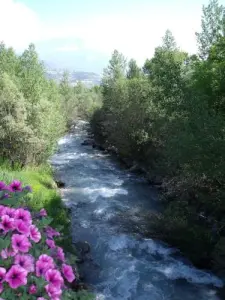 The impetuous Vachères torrent