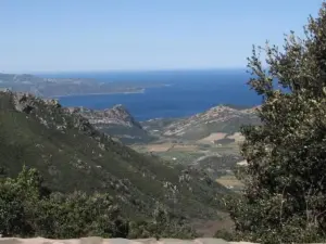 Le col de Teghime, à 536 mètres d'altitude, est situé sur la commune de Barbaggio, au sud du cap Corse, entre les villes de Bastia et Saint-Florent