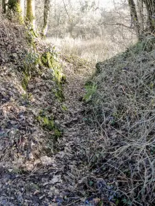 Breche eindigt in het noordoosten, de verdedigingsgracht van het Neolithicum-kamp (© J.E)