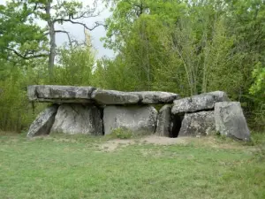 Dolmen of the Covered Stone in Pontigné