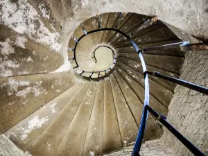 Escalier à vis, sans poteau central, vu de dessous - Hôtel des sires de Neuchâtel (© J.E)