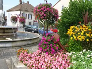 Het centrale plein, fontein, bloemen