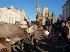 Fête des Boeufs Gras