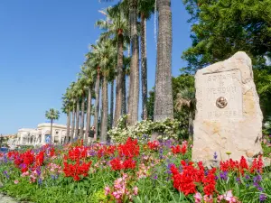 Viale di palme nel giardino di Verdun