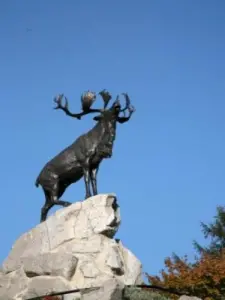 Caribou Newfoundland Regiment embleem