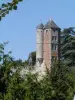 Beaumont-Louestault - Gids voor toerisme, vakantie & weekend in de Indre-et-Loire