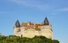 Beaumontois en Périgord - 巴恩斯城堡