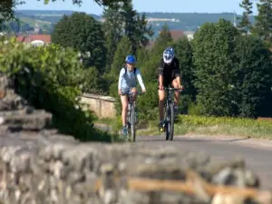 Véloroute Beaune - ​​Santenay