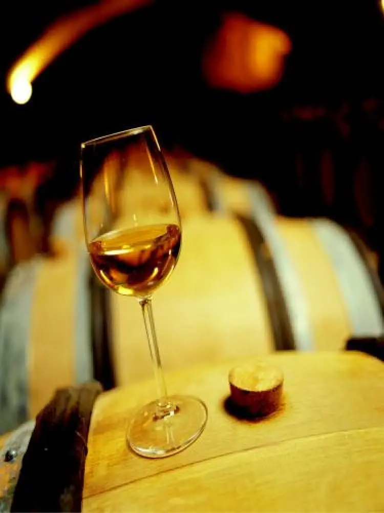 Beaune - Verre de vin blanc sur fût
