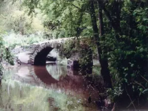 Gesté - Roman Bridge