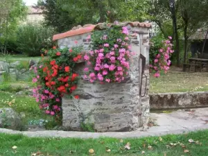 Il Poitevinière - Bene del piano fontana di acqua