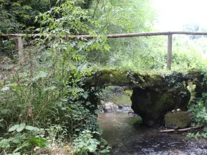 Bridge over the Lambon