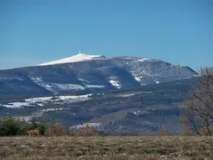 majestätisch