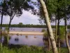 Béhuard - Promenade sur l'île