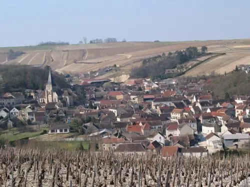 Beine - Tourism, holidays & weekends guide in the Yonne