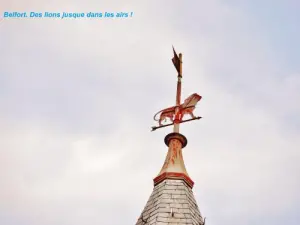 A Belfort, les lions volent (© Jean Espirat)