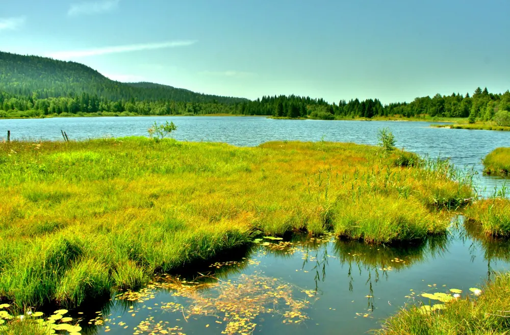 Bellefontaine - Lake of Bellefontaine, seen from the bridge over the creek between the lakes (© J.E)