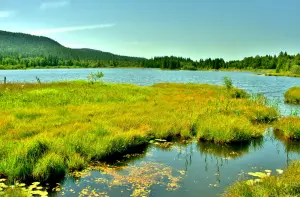 Lac de Bellefontaine, vu de la passerelle sur le ruisseau entre les lacs (© J.E)