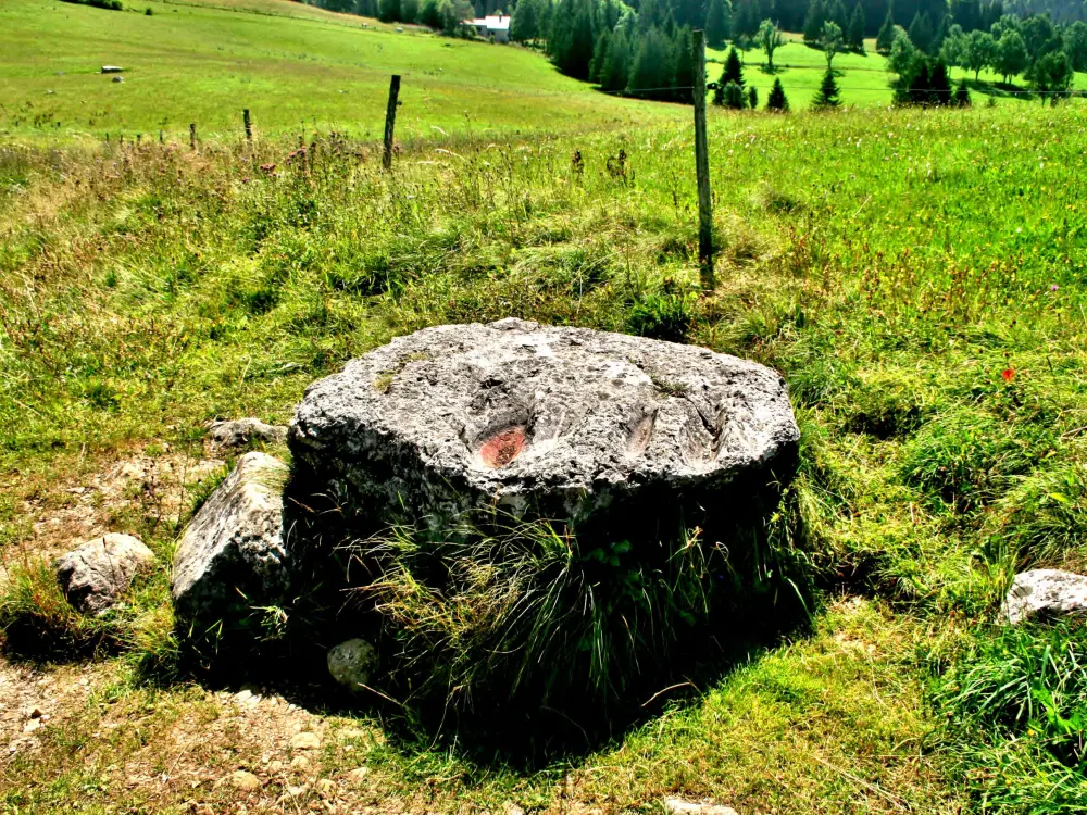 Bellefontaine - Erratic rock on the morainic isthmus between the lakes (© J.E)