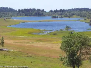 Lac des Mortes et lac de Bellefontaine