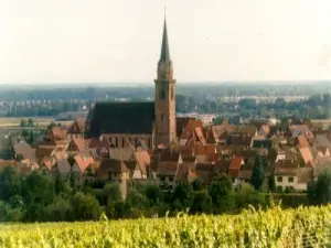 Bergheim de viña