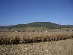 Il villaggio di Bergholtz ai piedi dell'Oberlinger