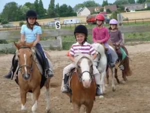 Sport - Cavallo - Formazione